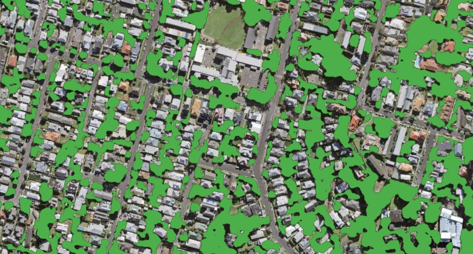 Processing result of forest model